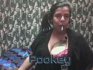 Pookey Mature Blog