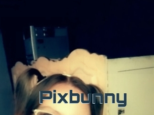 Pixbunny