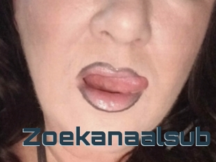 Zoekanaalsub